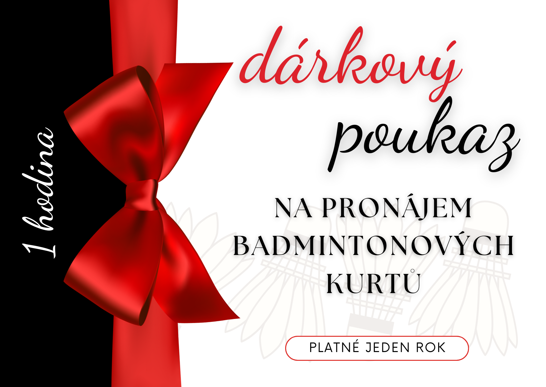 Pronájem badmintonových kurtů