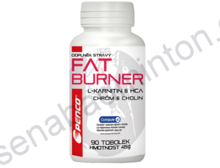 Spalovač tuků FAT BURNER 90tb