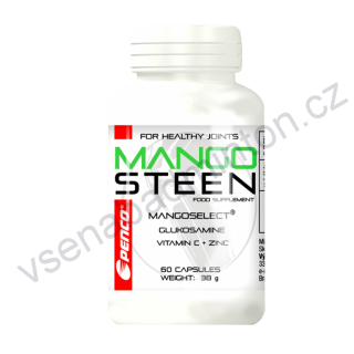 Kloubní výživa MANGOSTEEN 60 tbl.